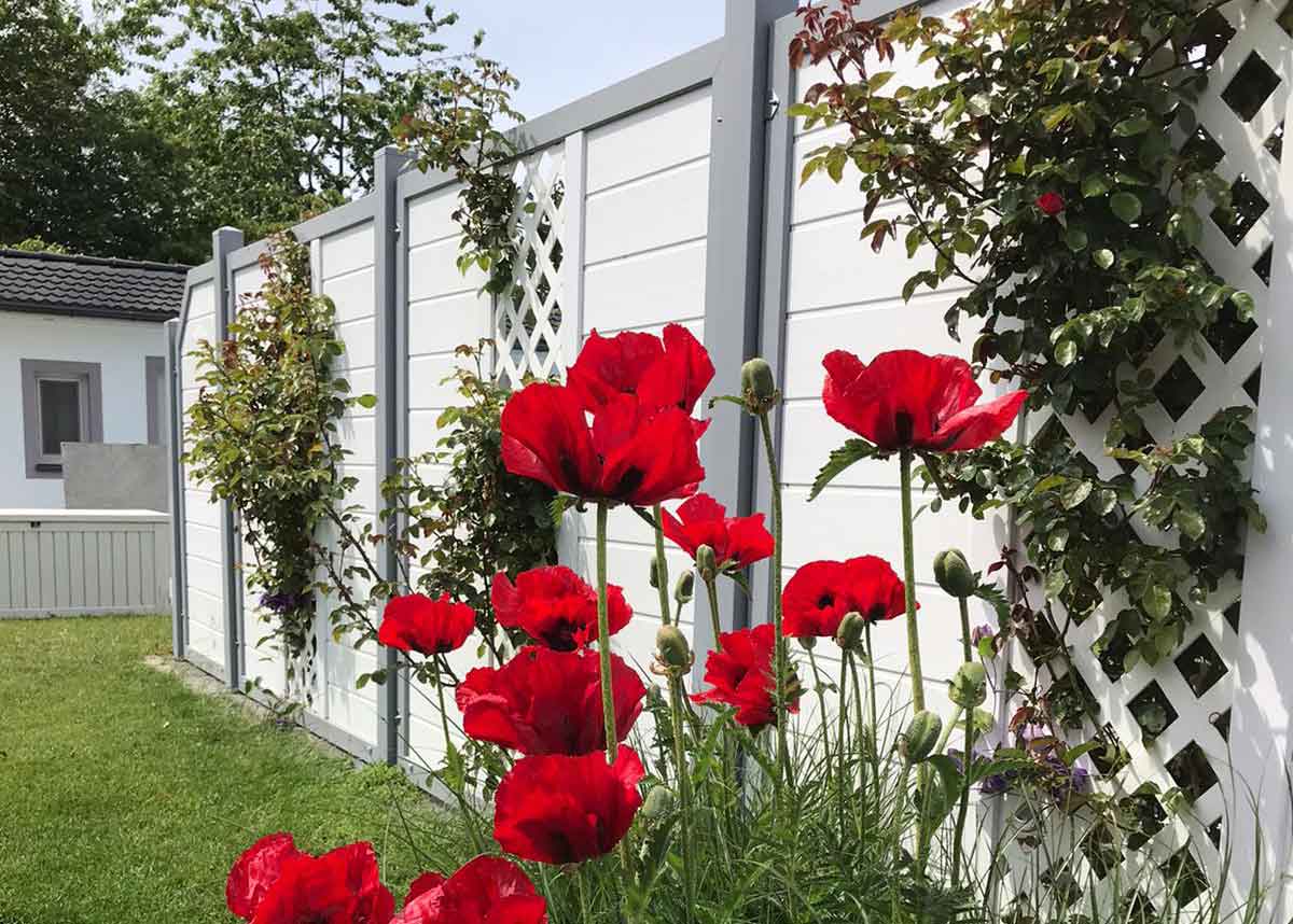 Sichtschutzwand für Außenbereich Garten aus stabilen langlebigen Kunststoff, kein WPC, in Weiß mit Rankgitter mit grauem Rahmen 